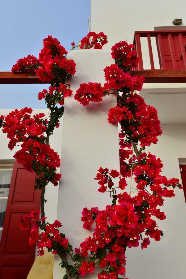 Seagull Rooms Galissas Exterior photo